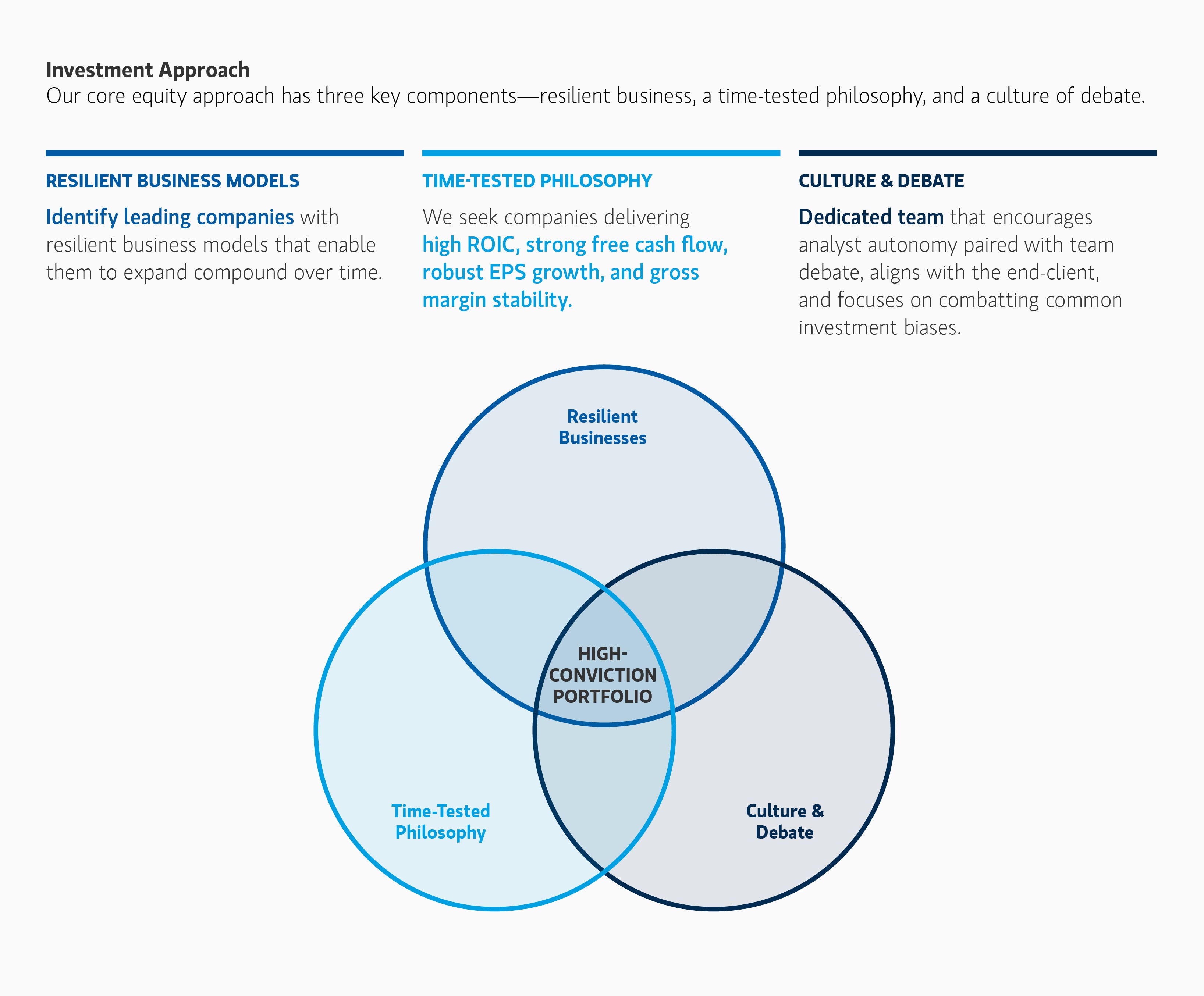 investment-approach-large-cap-core.png